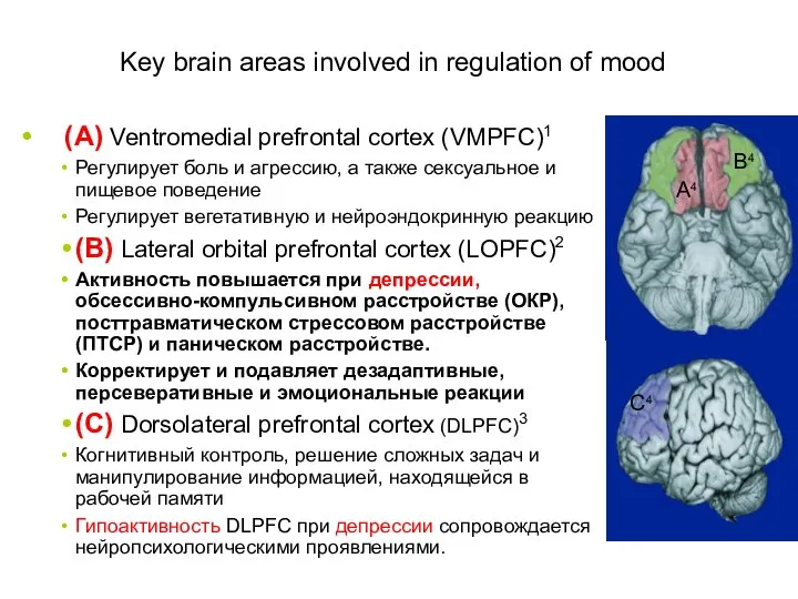 Key brain areas involved in regulation of mood (A) Ventromedial prefrontal