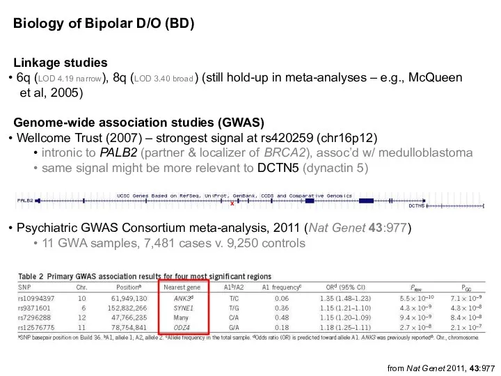 Linkage studies 6q (LOD 4.19 narrow), 8q (LOD 3.40 broad) (still