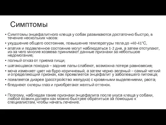 Симптомы Симптомы энцефалитного клеща у собак развиваются достаточно быстро, в течение