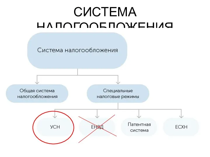 СИСТЕМА НАЛОГООБЛОЖЕНИЯ