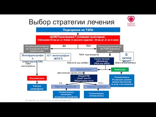 Выбор стратегии лечения Подозрение на ТЭЛА ШОК/Гипотензия? (стойкая гипотония , САД