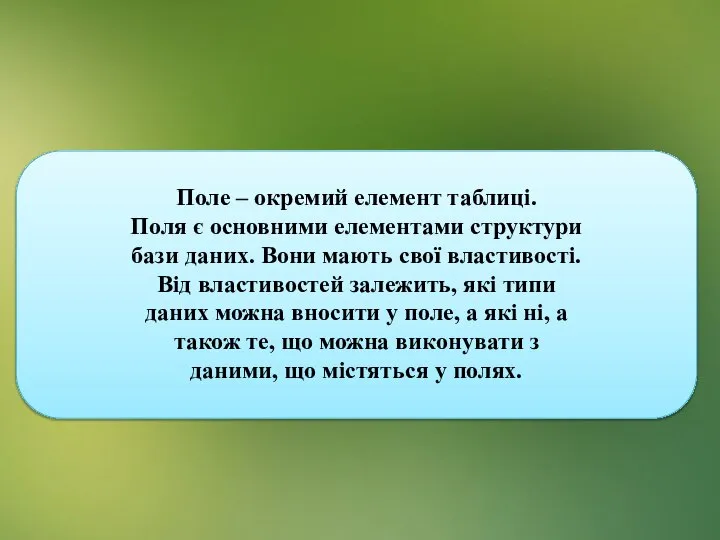 Поле – окремий елемент таблиці. Поля є основними елементами структури бази