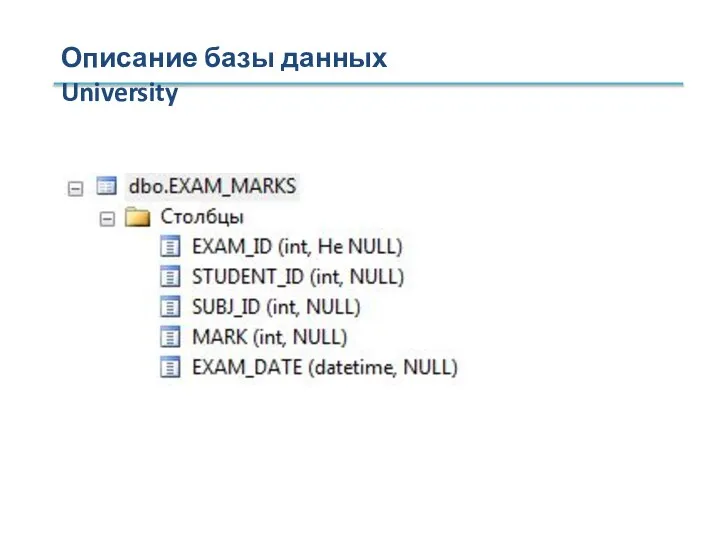 Описание базы данных University