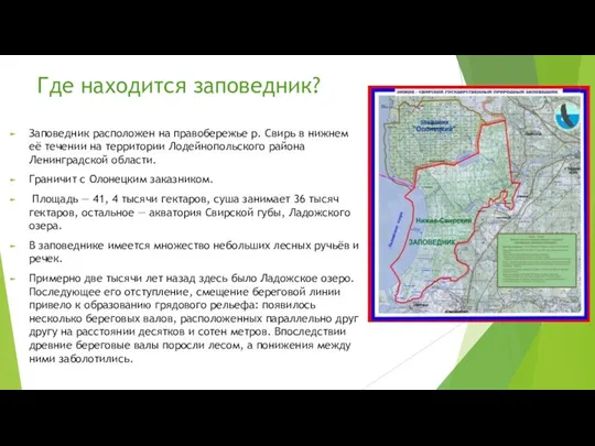 Где находится заповедник? Заповедник расположен на правобережье р. Свирь в нижнем