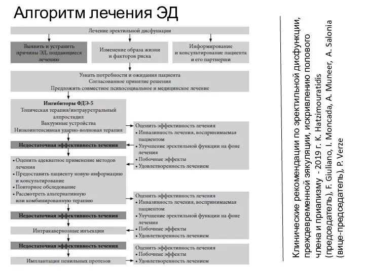 Алгоритм лечения ЭД Клинические рекомендации по эректильной дисфункции, преждевременной эякуляции, искривлению