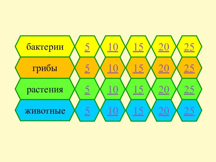 бактерии 5 10 15 20 25 грибы 5 10 15 20