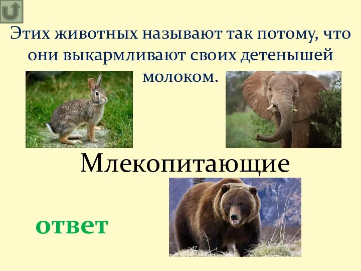 Млекопитающие Этих животных называют так потому, что они выкармливают своих детенышей молоком. ответ