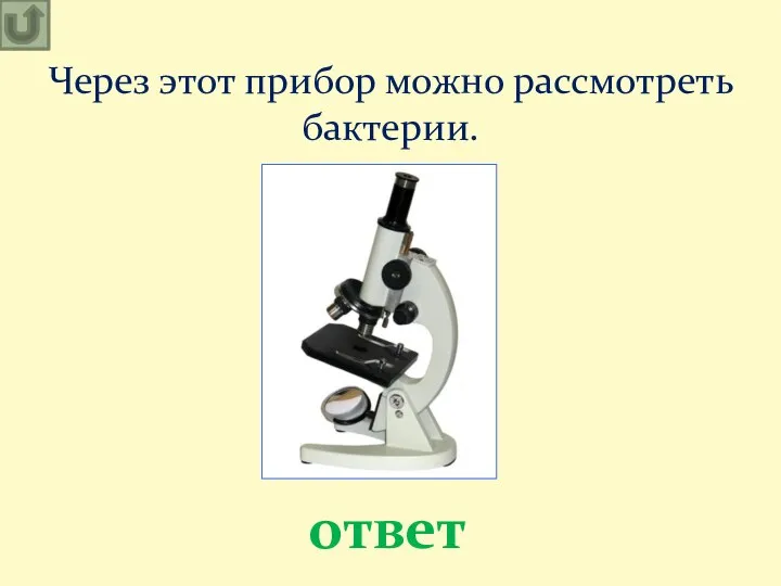 Через этот прибор можно рассмотреть бактерии. ответ