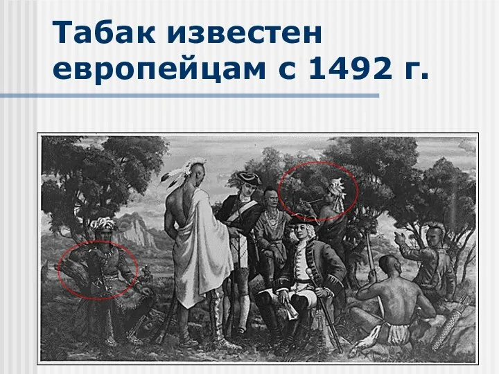 А.Е.Шабашов, 2003 Табак известен европейцам с 1492 г.