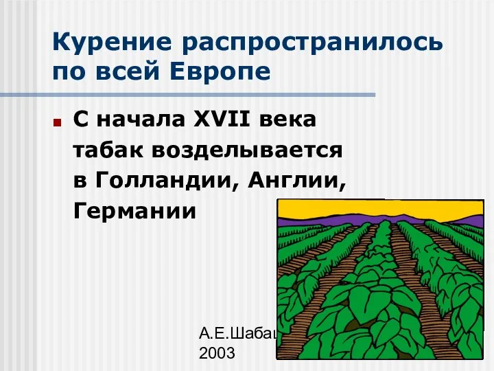 А.Е.Шабашов, 2003 Курение распространилось по всей Европе С начала XVII века