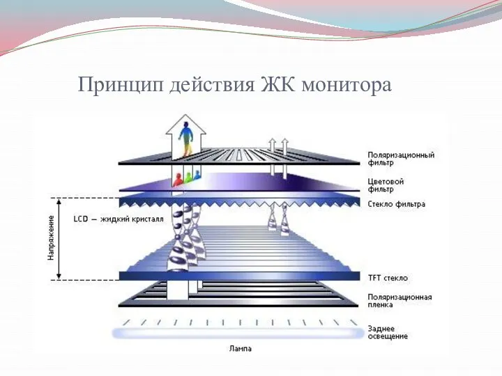 Принцип действия ЖК монитора