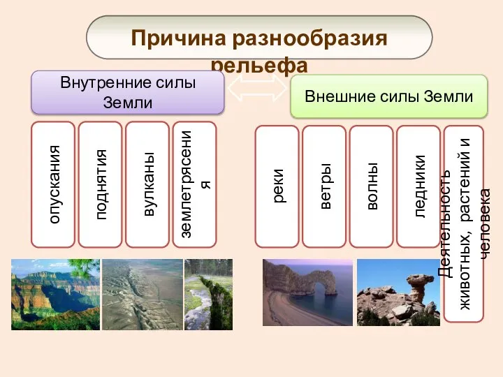 Причина разнообразия рельефа Внутренние силы Земли Внешние силы Земли ? ?