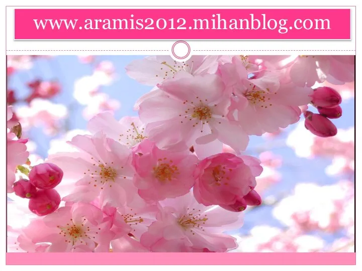 www.aramis2012.mihanblog.com