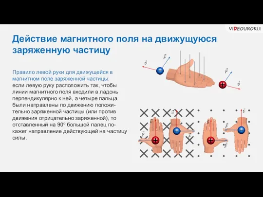 Действие магнитного поля на движущуюся заряженную частицу Правило левой руки для