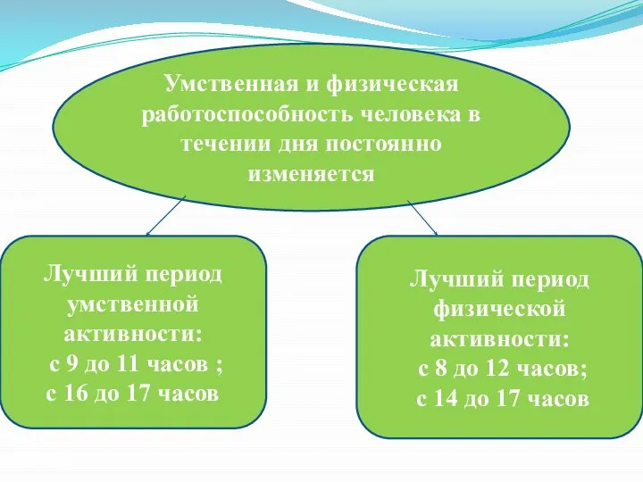 Умственная и физическая работоспособность человека в течении дня постоянно изменяется Лучший