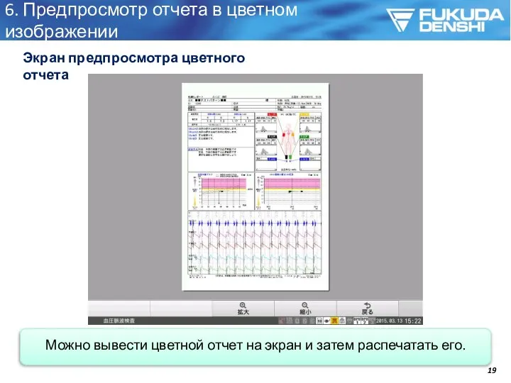 6. Предпросмотр отчета в цветном изображении Экран предпросмотра цветного отчета