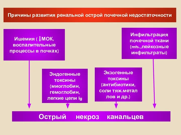 Причины развития ренальной острой почечной недостаточности Ишемия ( МОК, воспалительные процессы