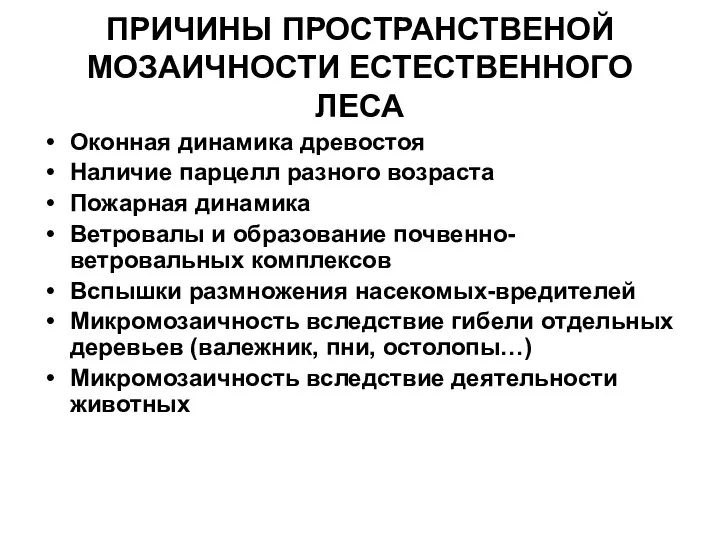 ПРИЧИНЫ ПРОСТРАНСТВЕНОЙ МОЗАИЧНОСТИ ЕСТЕСТВЕННОГО ЛЕСА Оконная динамика древостоя Наличие парцелл разного