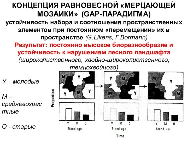 КОНЦЕПЦИЯ РАВНОВЕСНОЙ «МЕРЦАЮЩЕЙ МОЗАИКИ» (GAP-ПАРАДИГМА) устойчивость набора и соотношения пространственных элементов