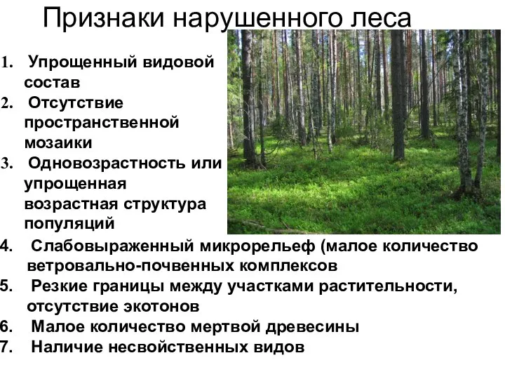 Признаки нарушенного леса Упрощенный видовой состав Отсутствие пространственной мозаики Одновозрастность или