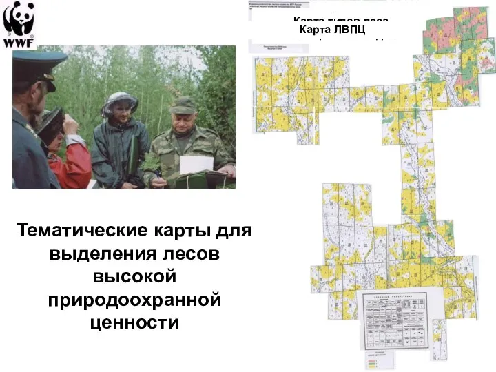 Тематические карты для выделения лесов высокой природоохранной ценности Карта по преобладающим