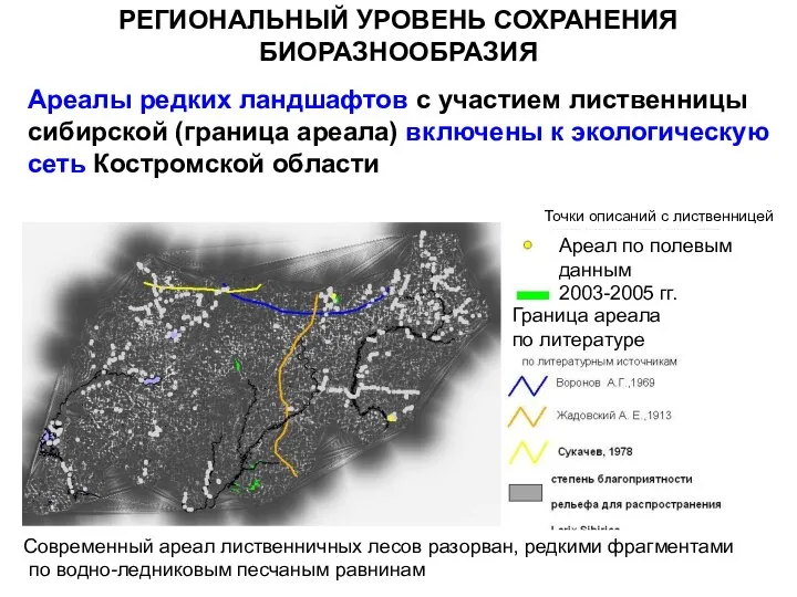 РЕГИОНАЛЬНЫЙ УРОВЕНЬ СОХРАНЕНИЯ БИОРАЗНООБРАЗИЯ Ареалы редких ландшафтов с участием лиственницы сибирской