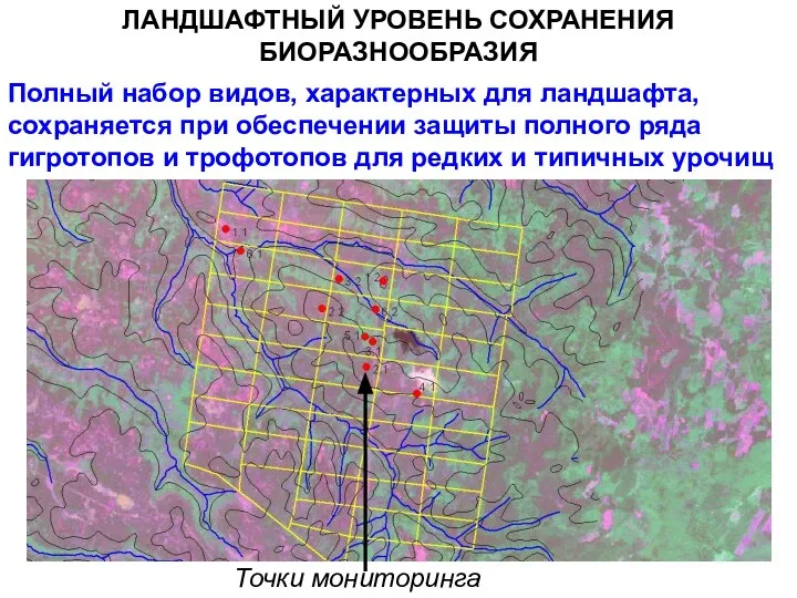 Полный набор видов, характерных для ландшафта, сохраняется при обеспечении защиты полного