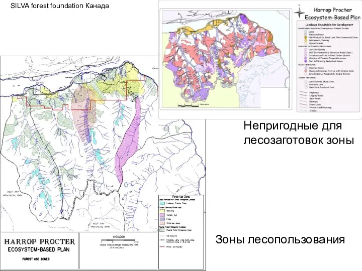 Непригодные для лесозаготовок зоны Зоны лесопользования SILVA forest foundation Канада