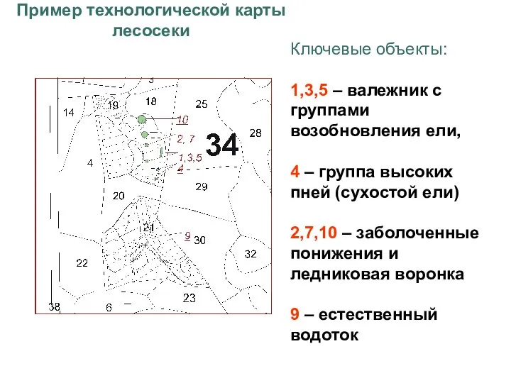 Ключевые объекты: 1,3,5 – валежник с группами возобновления ели, 4 –