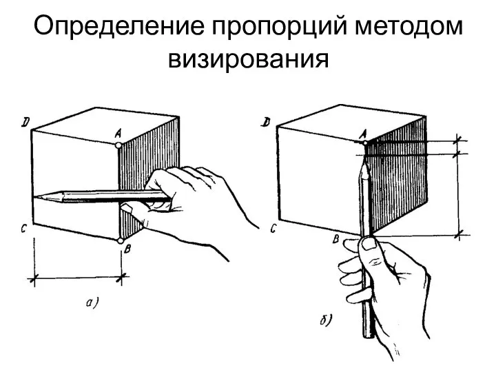 Определение пропорций методом визирования