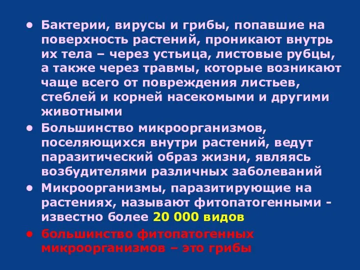 Бактерии, вирусы и грибы, попавшие на поверхность растений, проникают внутрь их