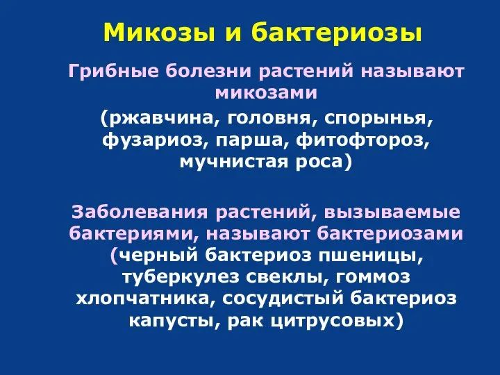 Микозы и бактериозы Грибные болезни растений называют микозами (ржавчина, головня, спорынья,