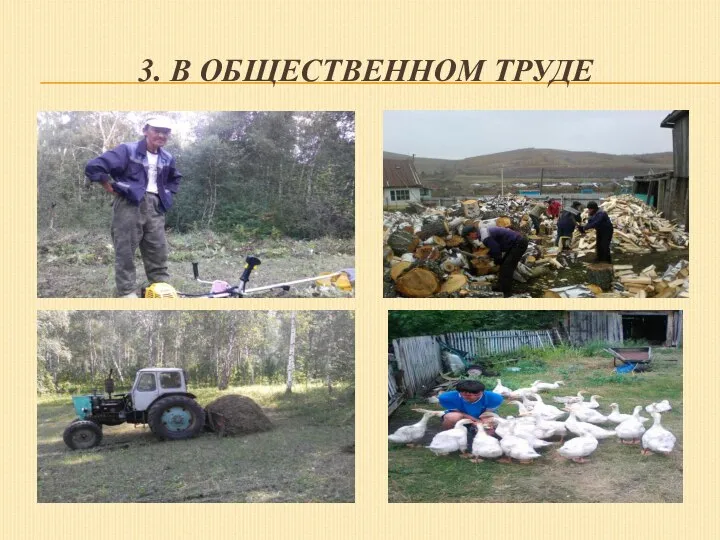 3. В ОБЩЕСТВЕННОМ ТРУДЕ