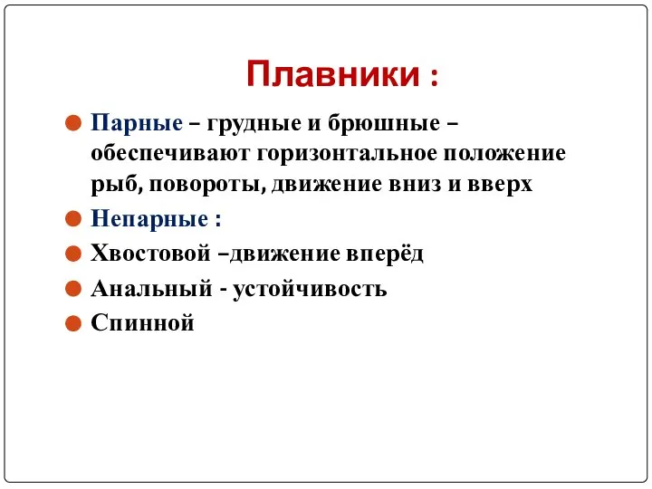 Плавники : Парные – грудные и брюшные – обеспечивают горизонтальное положение