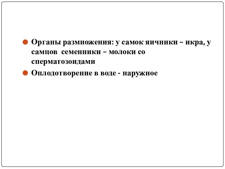 Органы размножения: у самок яичники – икра, у самцов семенники –