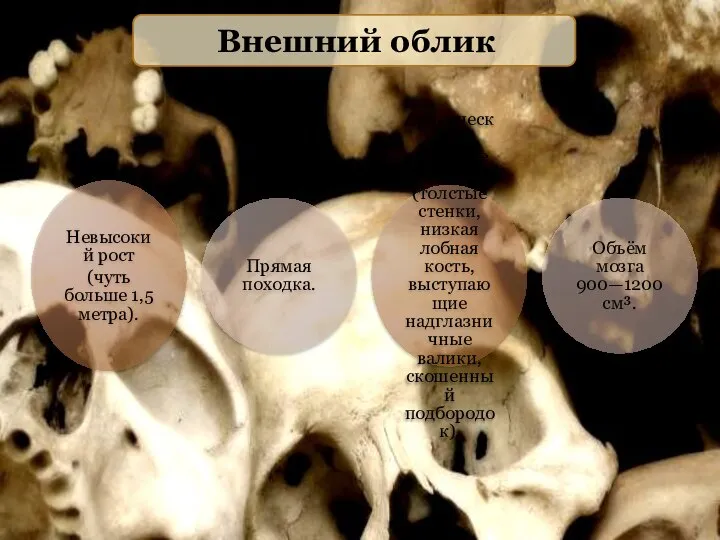 Внешний облик Невысокий рост (чуть больше 1,5 метра). Прямая походка. Архаическое