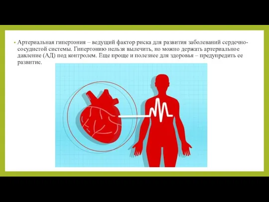 Артериальная гипертония – ведущий фактор риска для развития заболеваний сердечно-сосудистой системы.