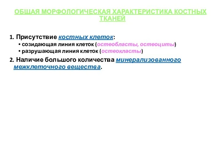 ОБЩАЯ МОРФОЛОГИЧЕСКАЯ ХАРАКТЕРИСТИКА КОСТНЫХ ТКАНЕЙ 1. Присутствие костных клеток: созидающая линия