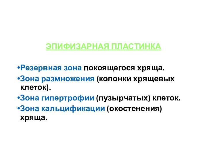 ЭПИФИЗАРНАЯ ПЛАСТИНКА Резервная зона покоящегося хряща. Зона размножения (колонки хрящевых клеток).