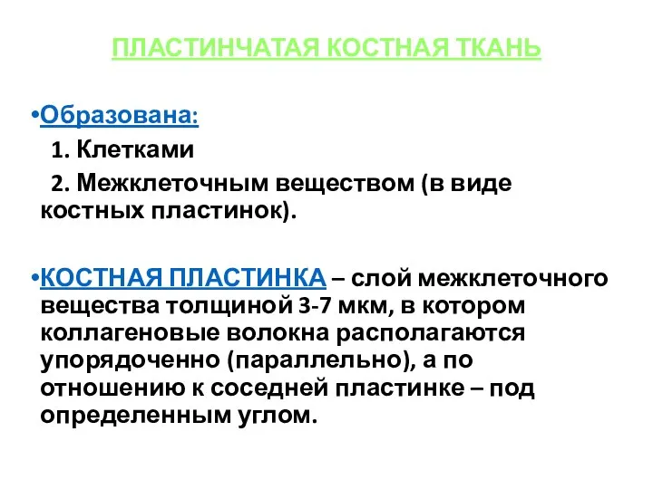 ПЛАСТИНЧАТАЯ КОСТНАЯ ТКАНЬ Образована: 1. Клетками 2. Межклеточным веществом (в виде