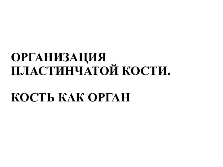 ОРГАНИЗАЦИЯ ПЛАСТИНЧАТОЙ КОСТИ. КОСТЬ КАК ОРГАН