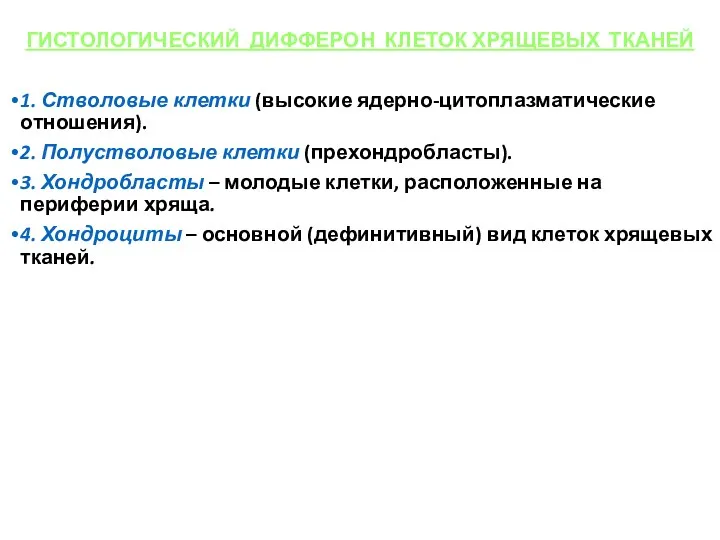 ГИСТОЛОГИЧЕСКИЙ ДИФФЕРОН КЛЕТОК ХРЯЩЕВЫХ ТКАНЕЙ 1. Стволовые клетки (высокие ядерно-цитоплазматические отношения).