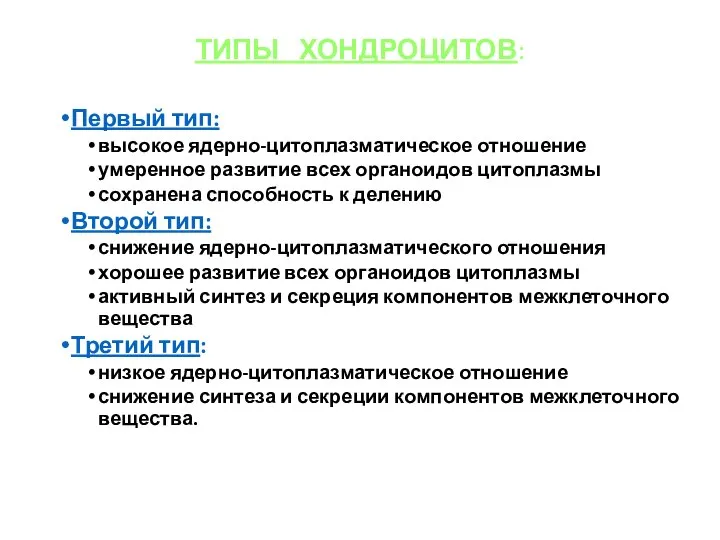 ТИПЫ ХОНДРОЦИТОВ: Первый тип: высокое ядерно-цитоплазматическое отношение умеренное развитие всех органоидов