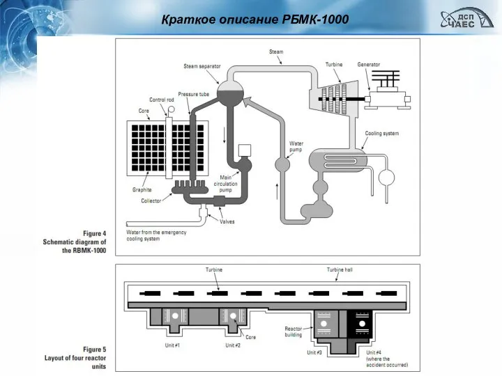 Краткое описание РБМК-1000