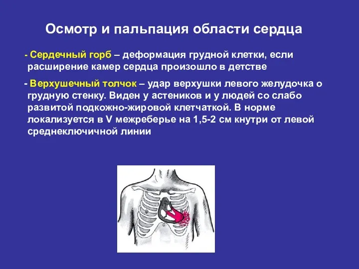 Осмотр и пальпация области сердца Сердечный горб – деформация грудной клетки,