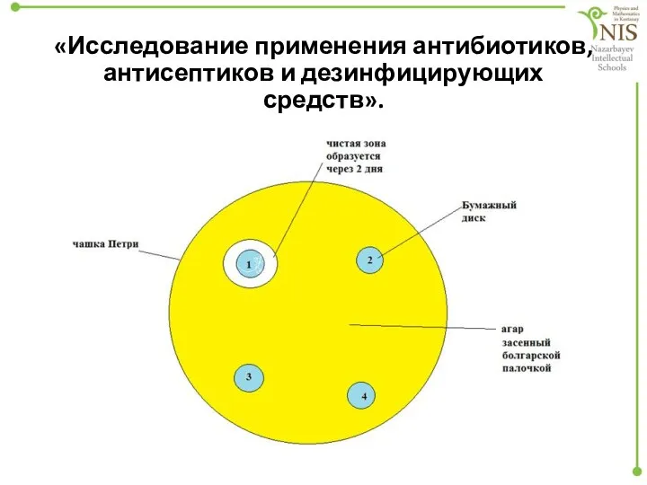 «Исследование применения антибиотиков, антисептиков и дезинфицирующих средств».