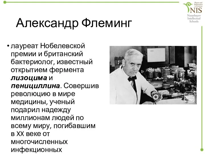 Александр Флеминг лауреат Нобелевской премии и британский бактериолог, известный открытием фермента