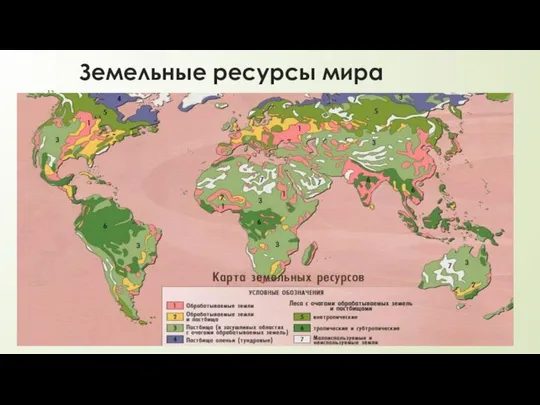 Земельные ресурсы мира