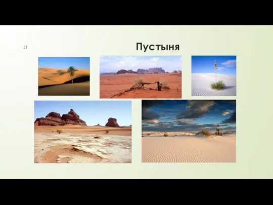 Пустыня