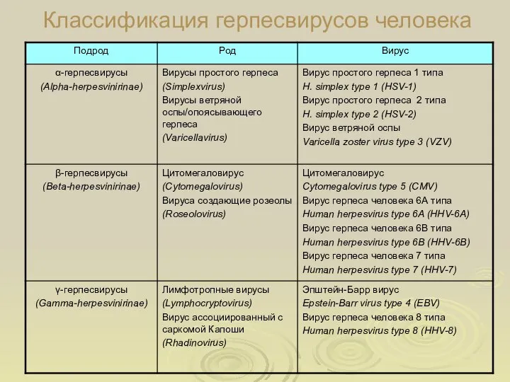 Классификация герпесвирусов человека